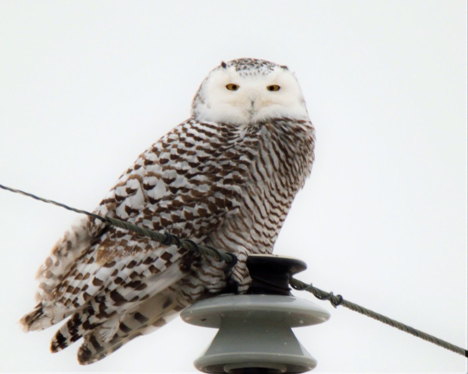 032418-nws-readerphoto